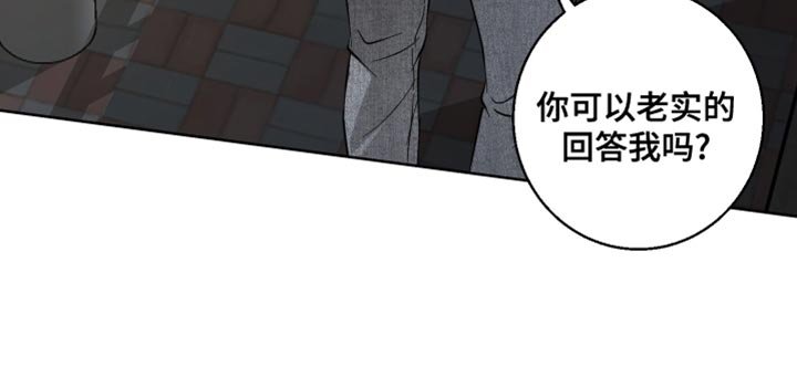 第27章：可以老实回答我吗