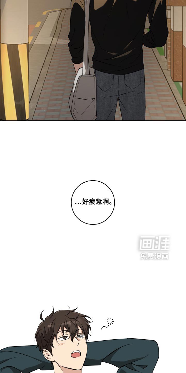 第28章：真是万幸