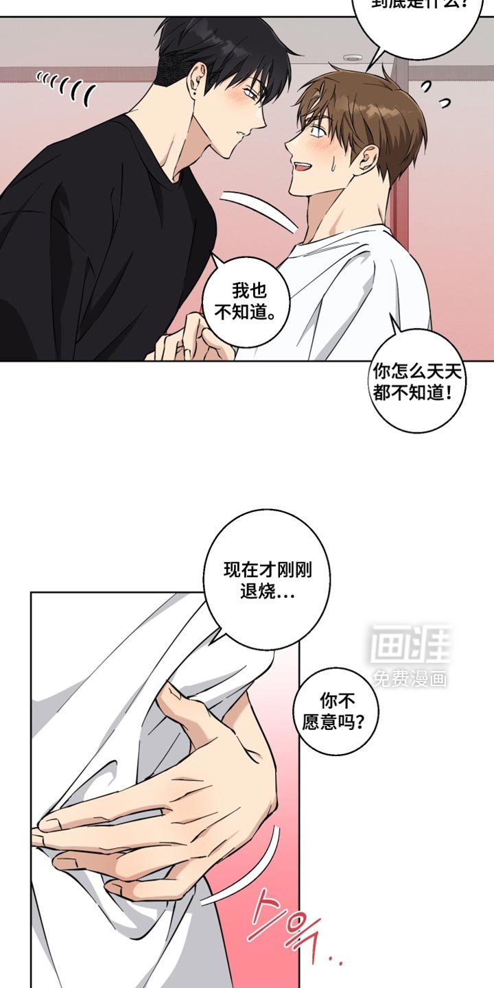 第33章：以后再说吧