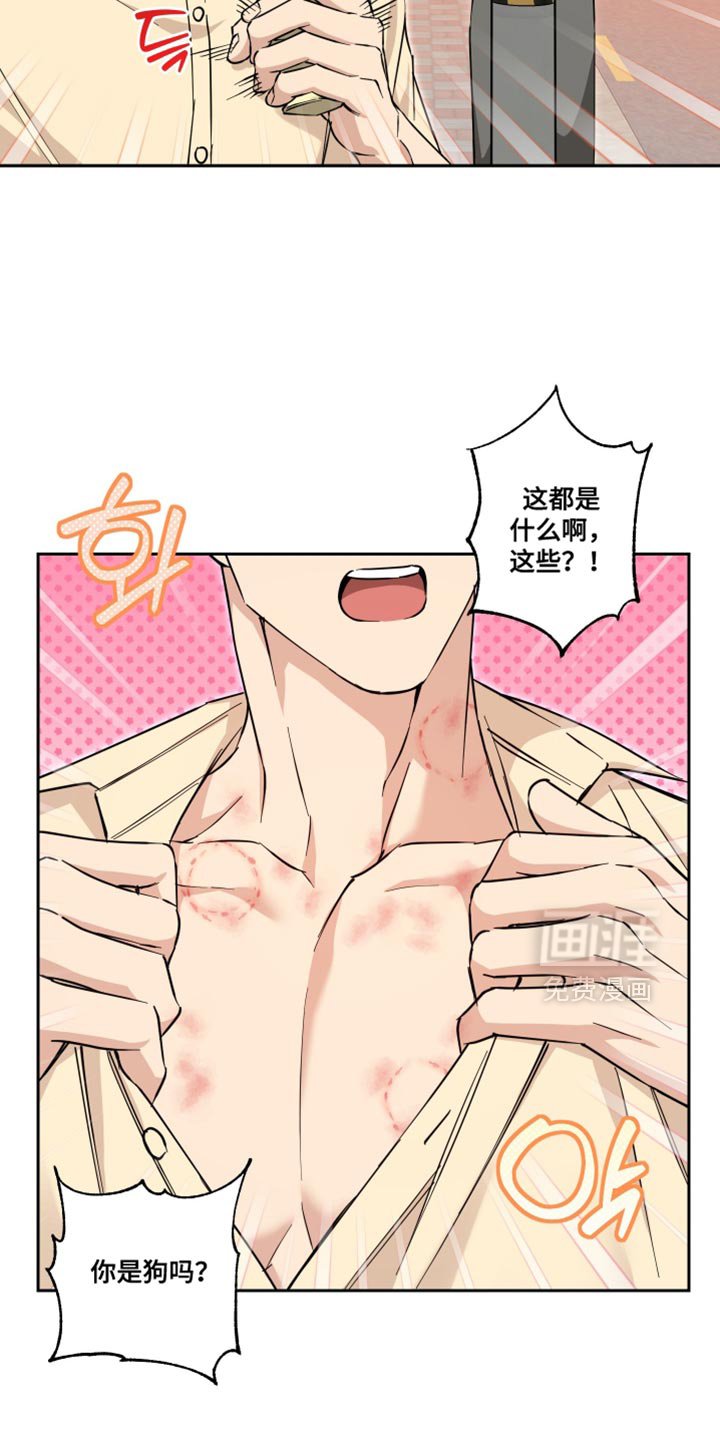 第42章：谢谢你陪我一起来