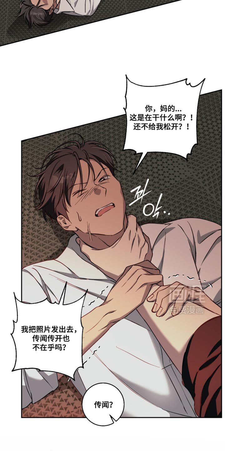 第44章：真是期待