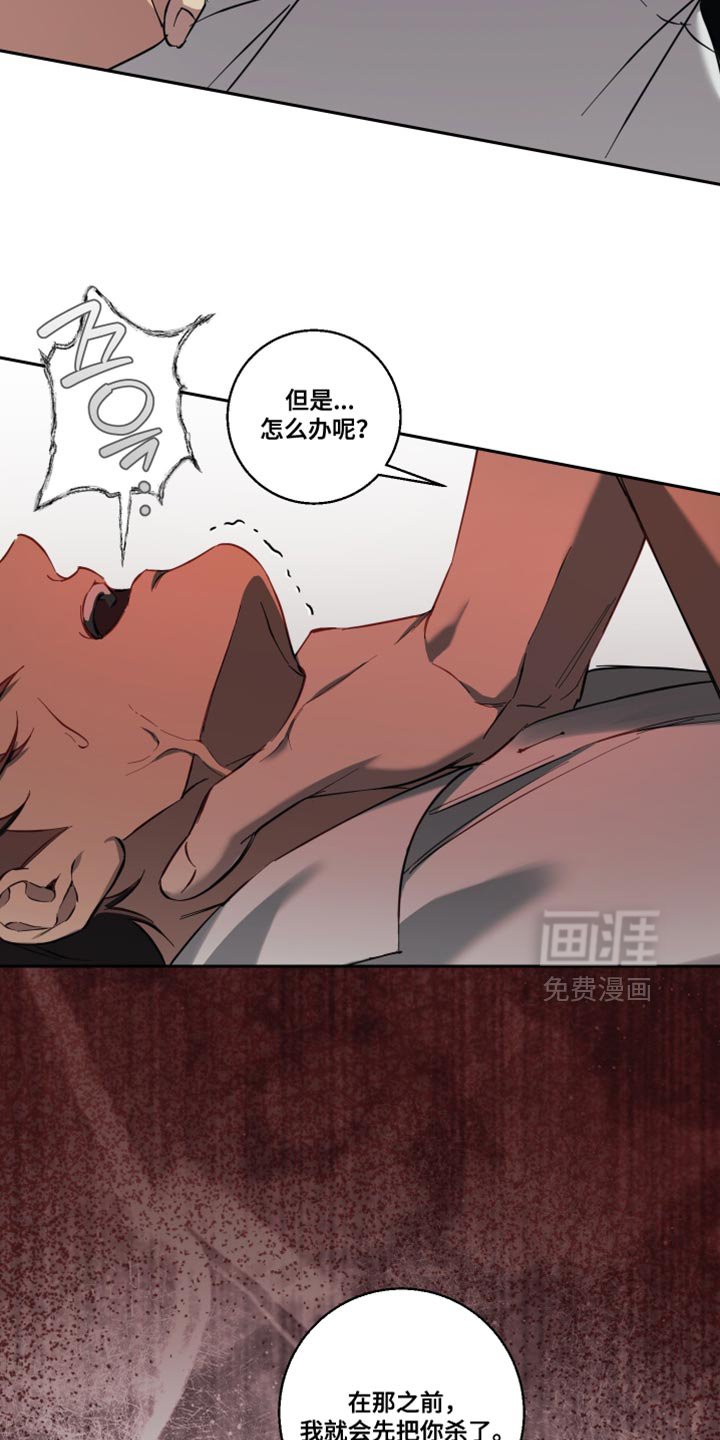 第44章：真是期待