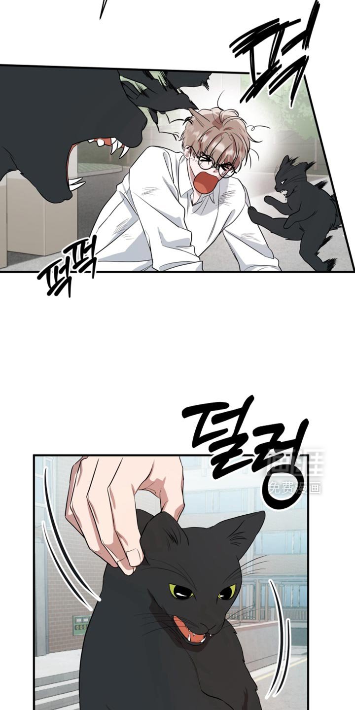 第13章：想起来的记忆