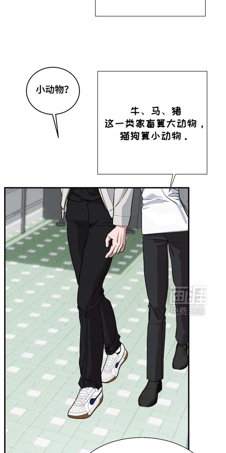 第13章：想起来的记忆