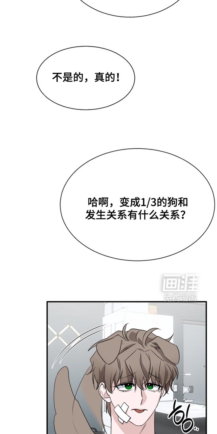 第19章：真是太差劲了