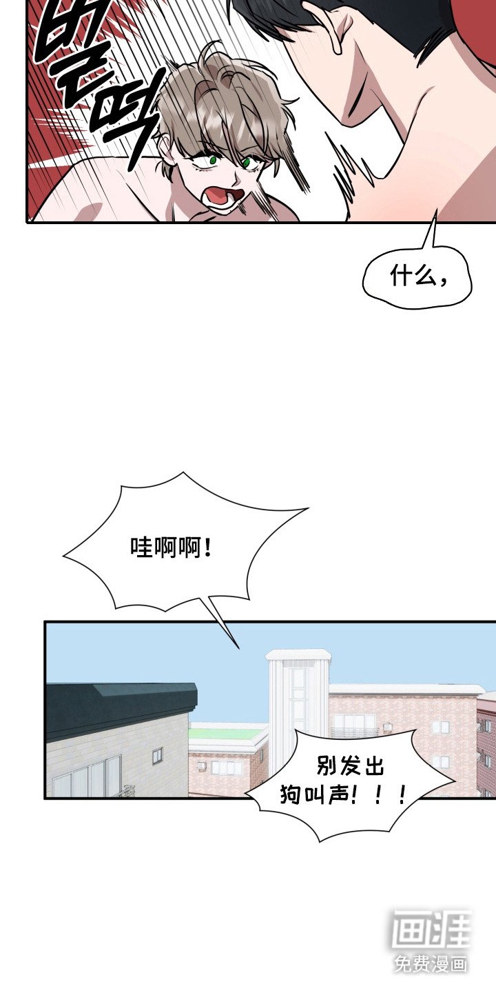 第4章：诅咒