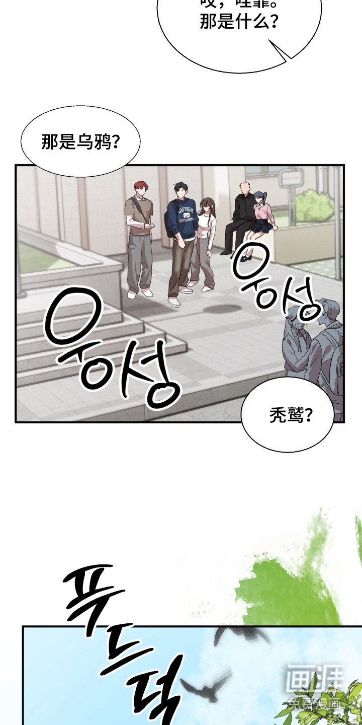 第7章：乌鸦