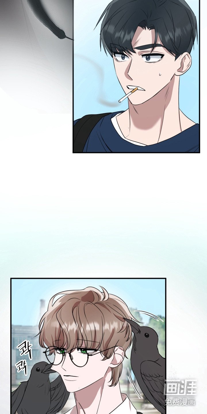 第7章：乌鸦