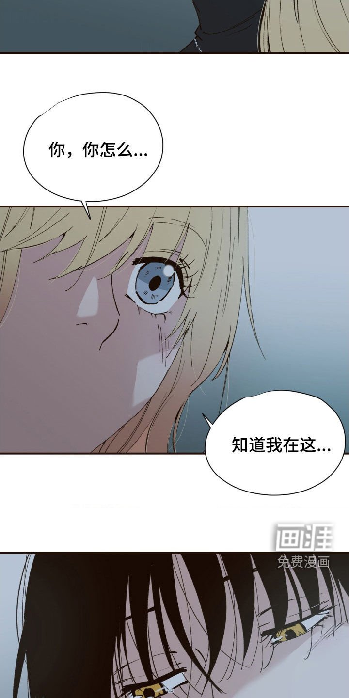 第11章：祭品