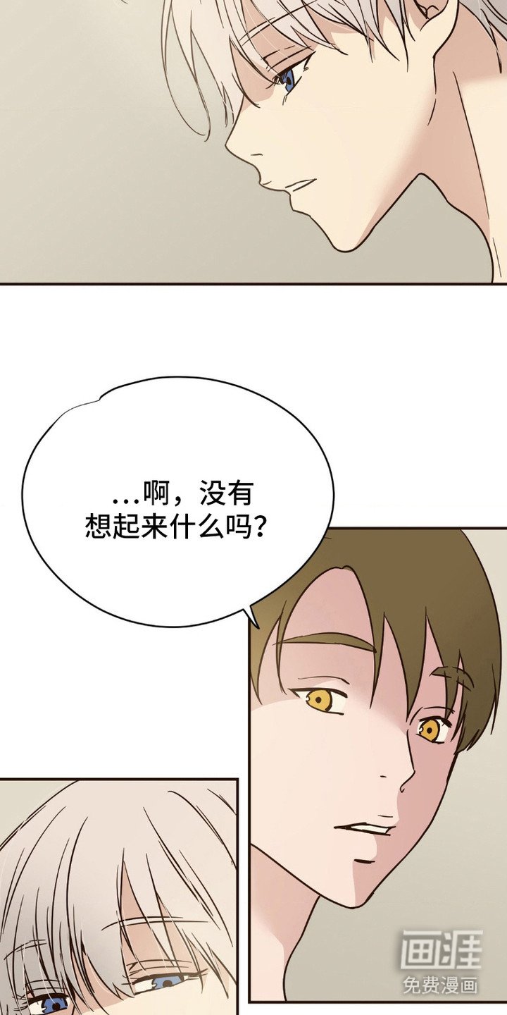 第3章：遗失的记忆