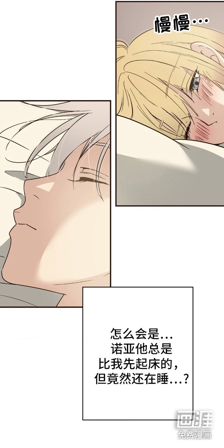 第5章：收留