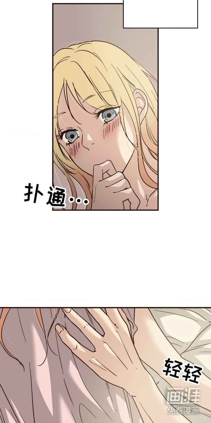第5章：收留