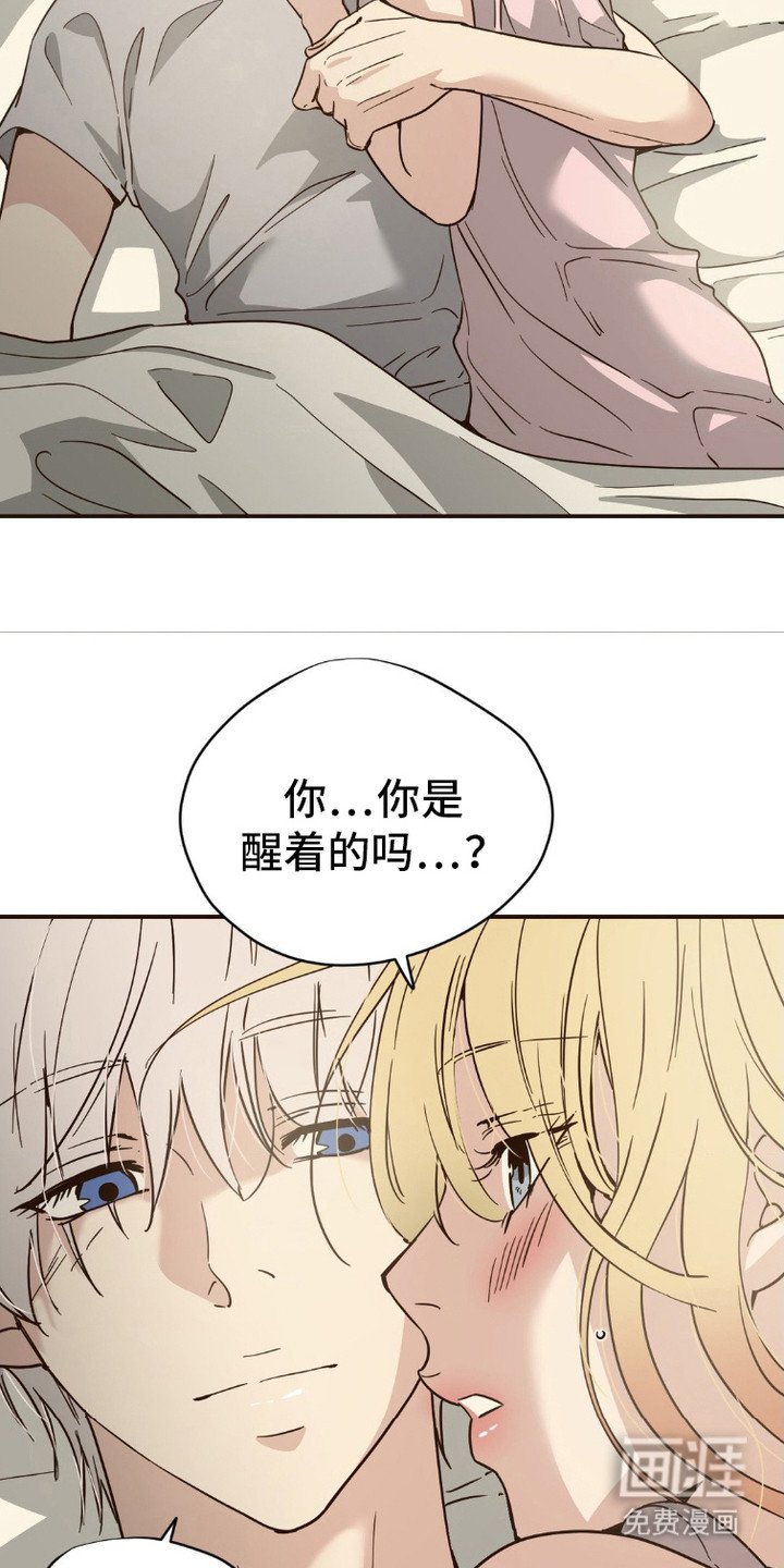 第5章：收留