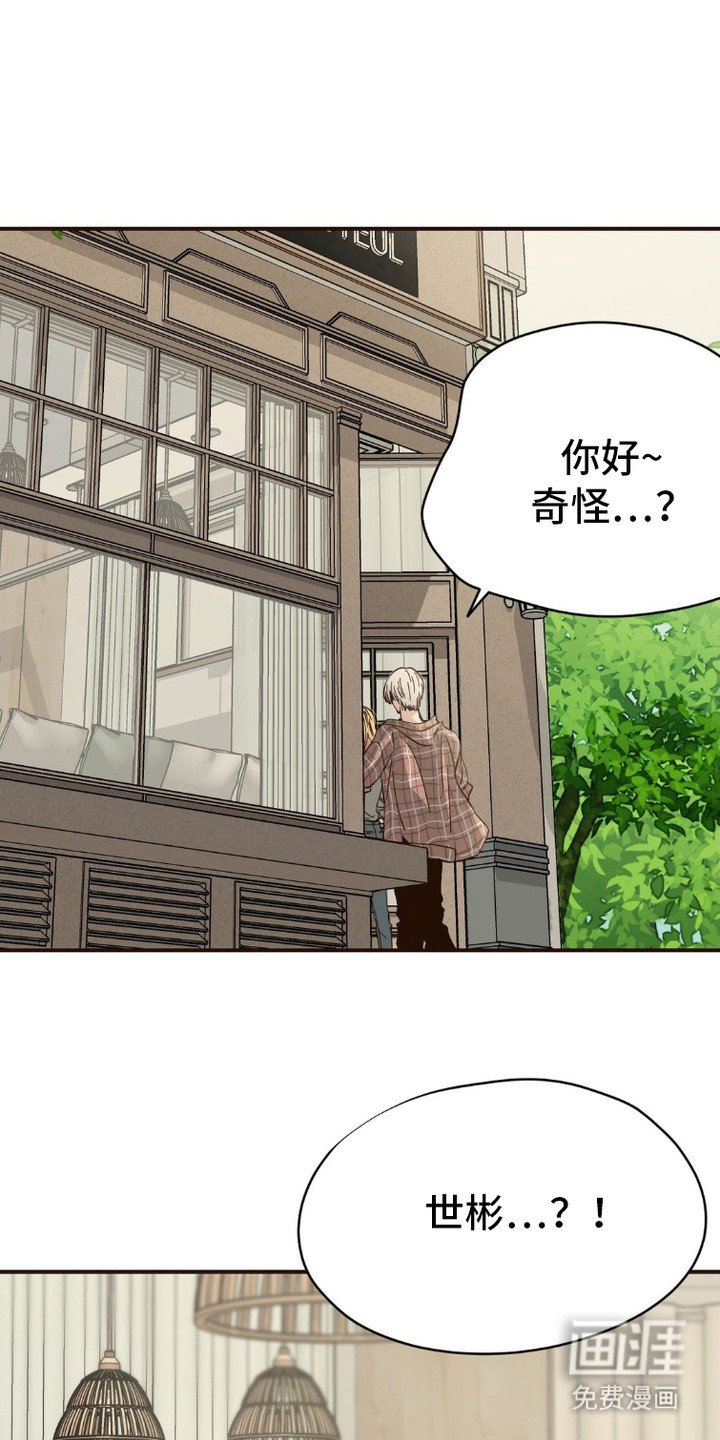 第5章：收留