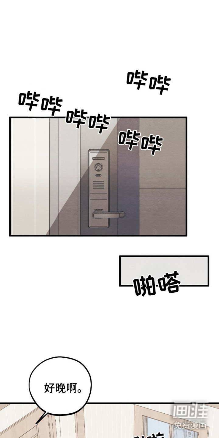 第11章：新鲜事物