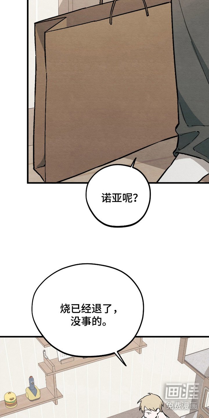 第11章：新鲜事物