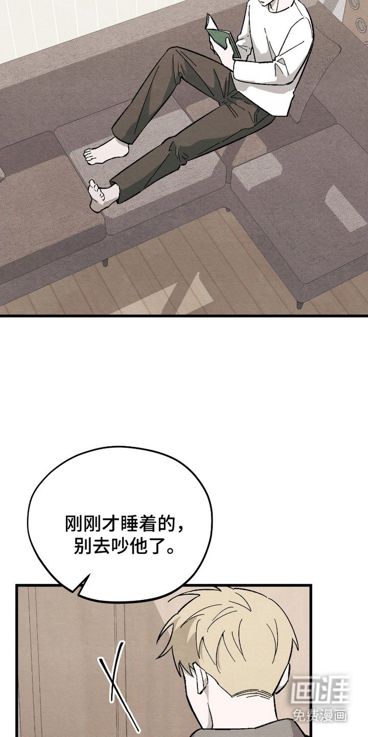 第11章：新鲜事物