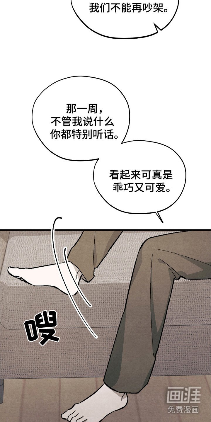 第11章：新鲜事物