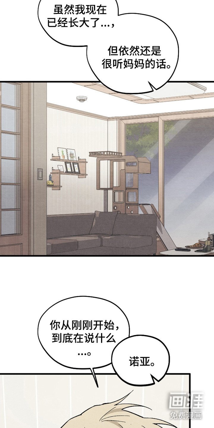 第11章：新鲜事物