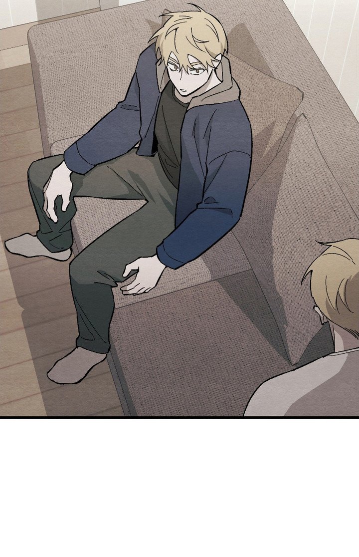 第11章：新鲜事物