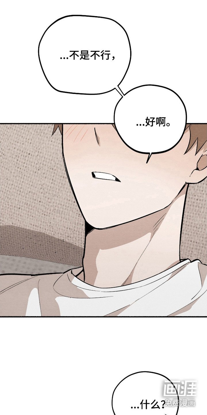第13章：像梦一样（完结）