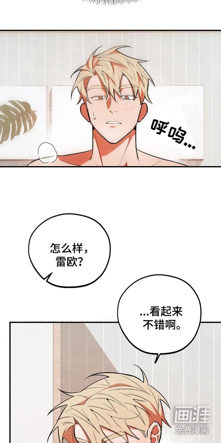 第13章：像梦一样（完结）