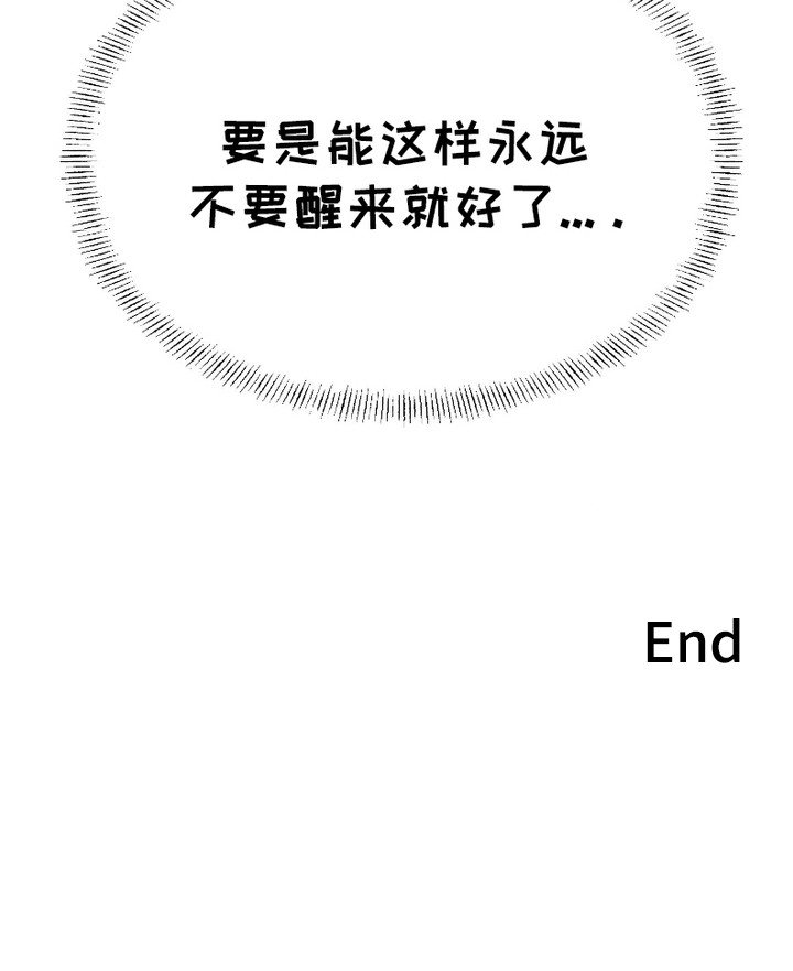 第13章：像梦一样（完结）
