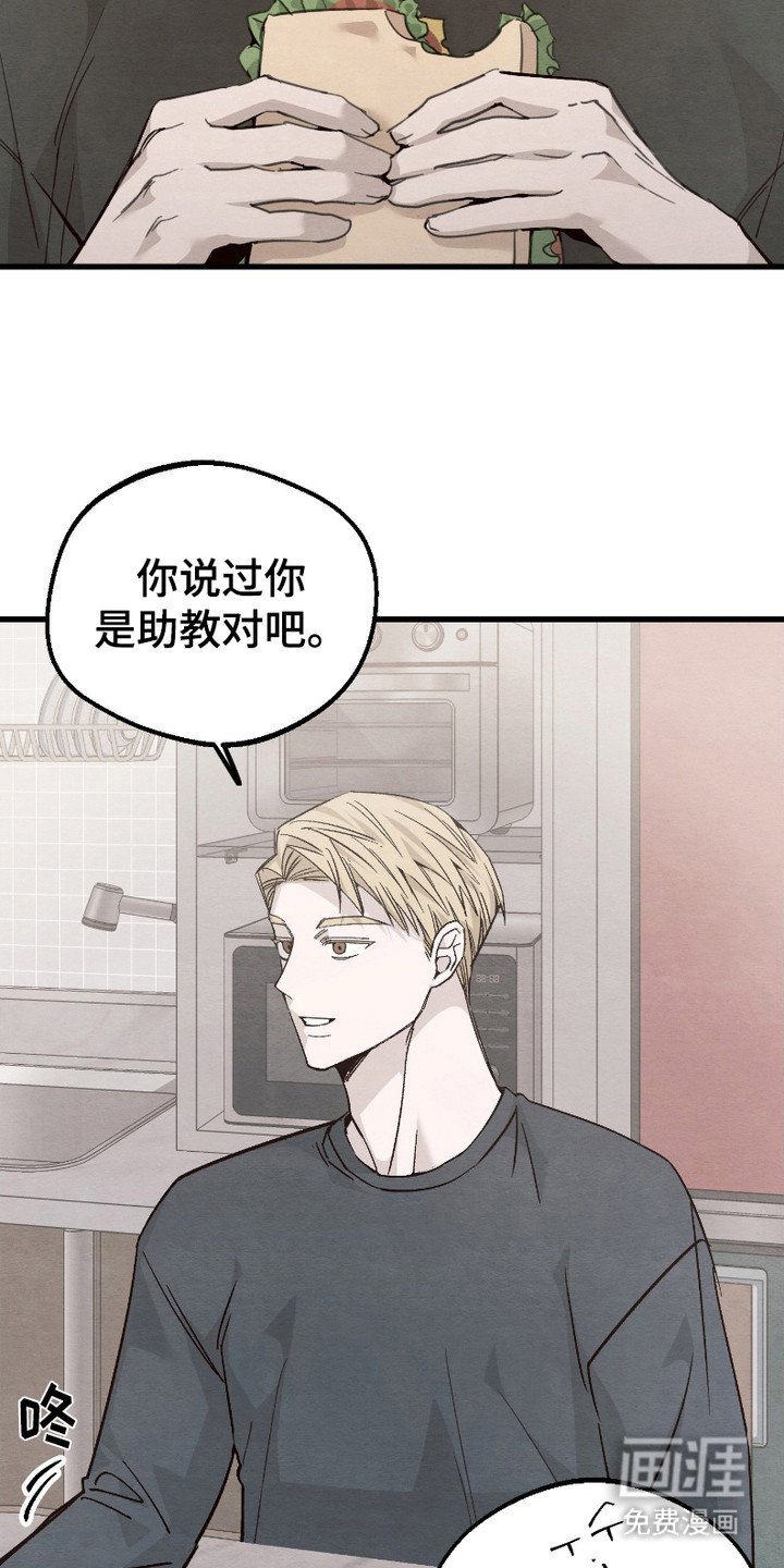 第4章：逛一逛