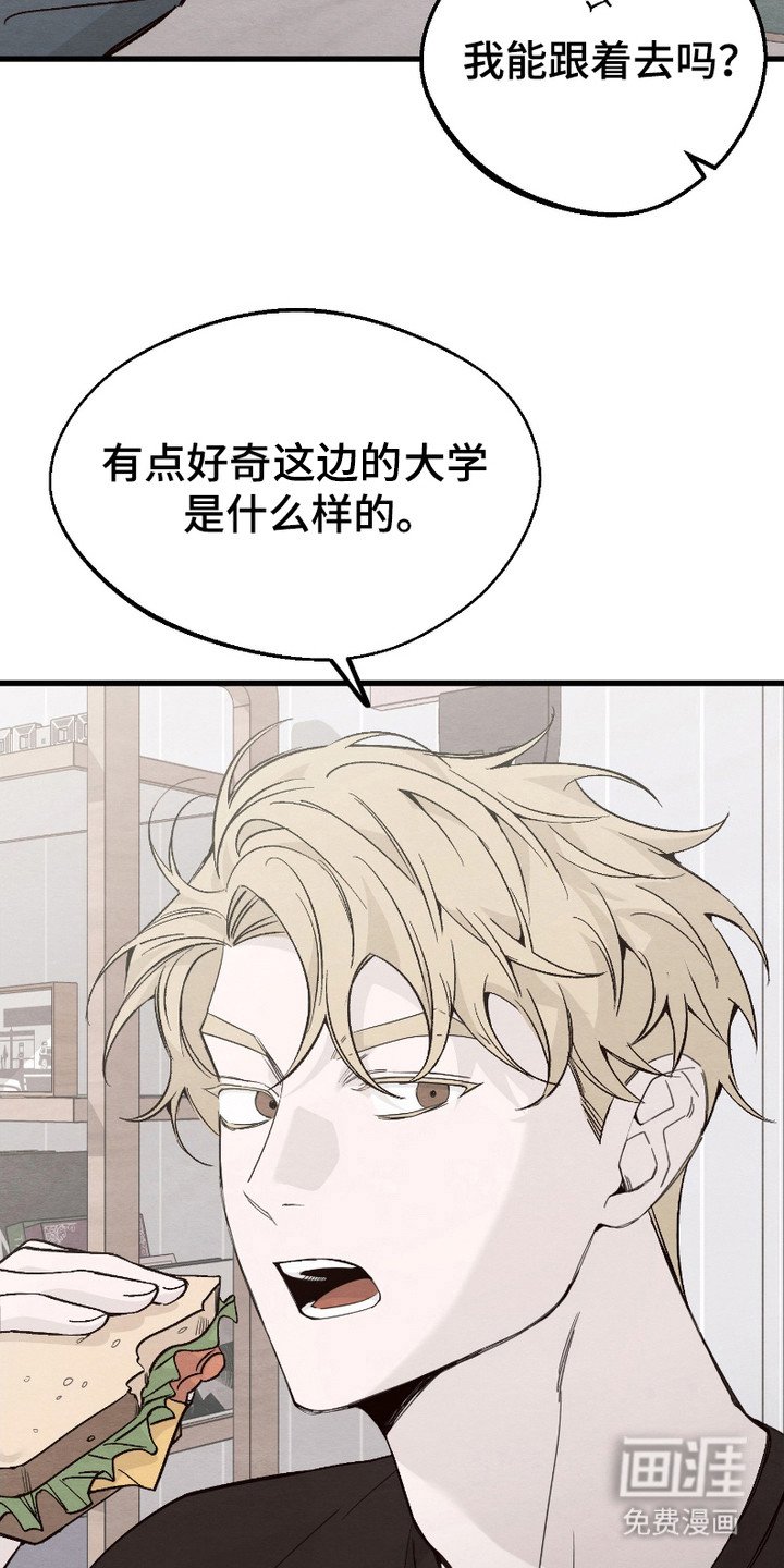 第4章：逛一逛
