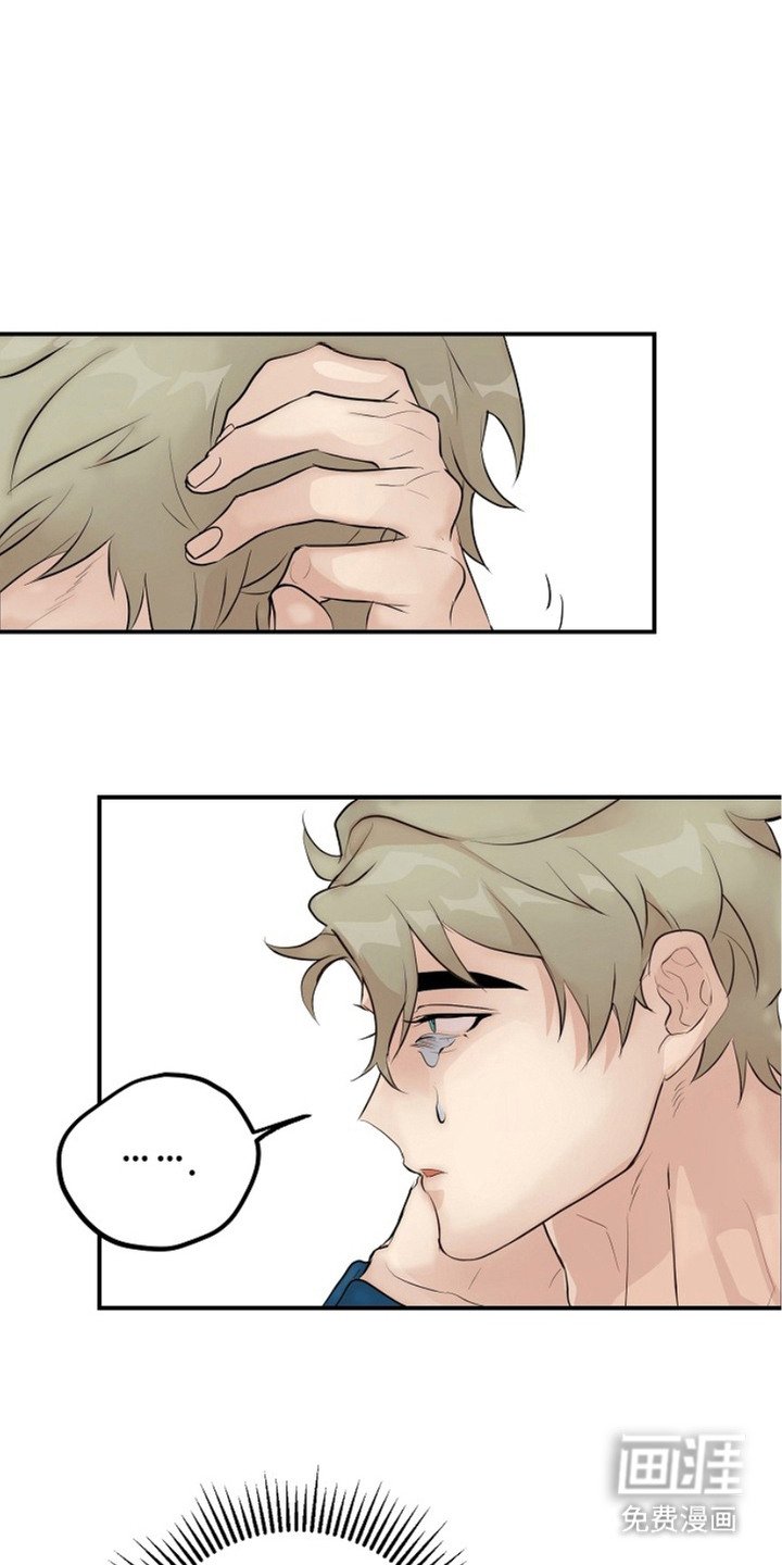 第11章：单纯