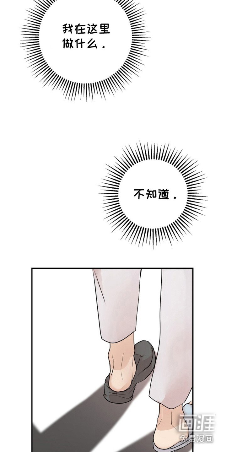 第11章：单纯