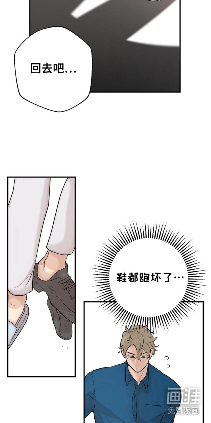 第11章：单纯