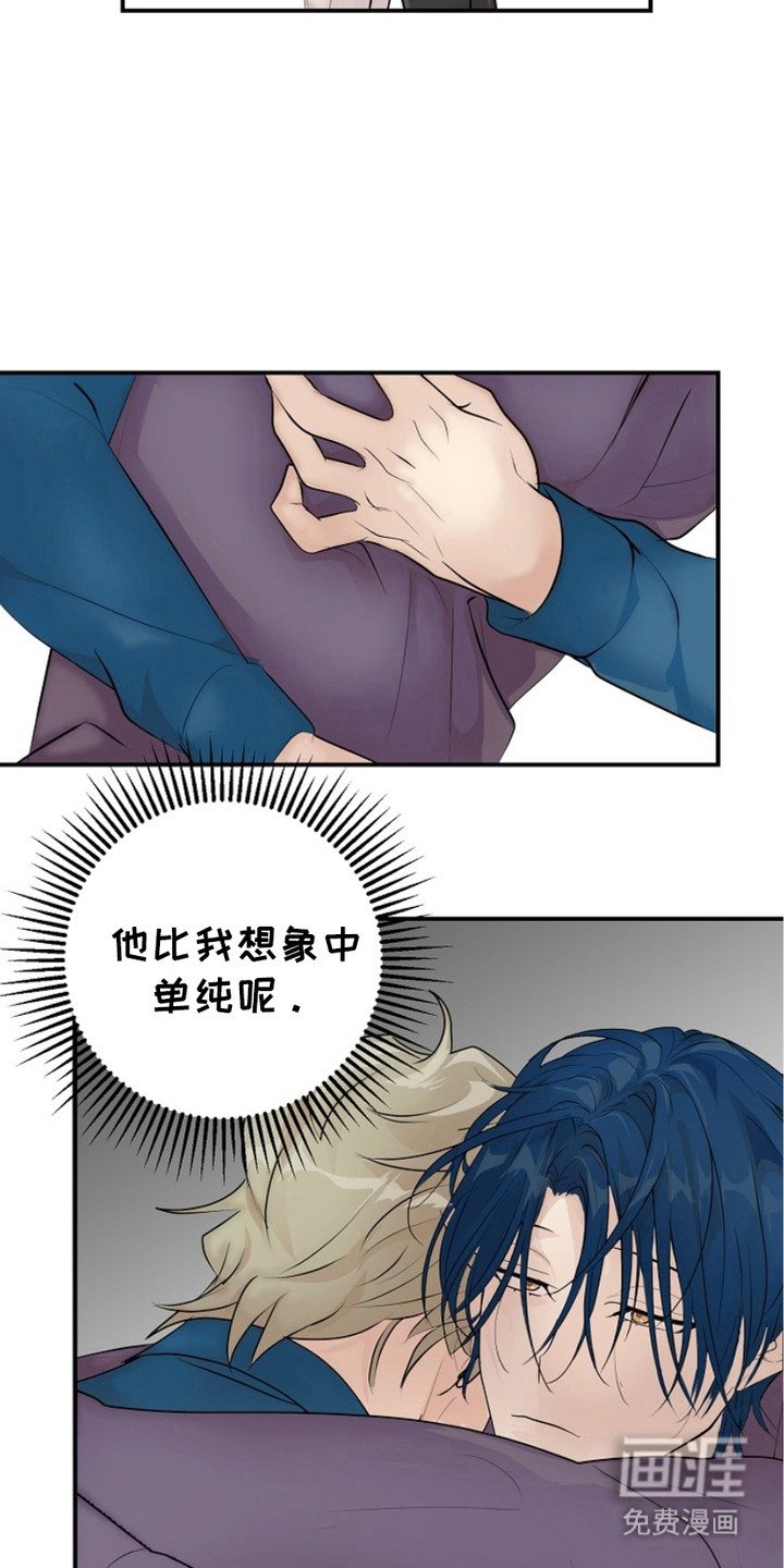 第11章：单纯