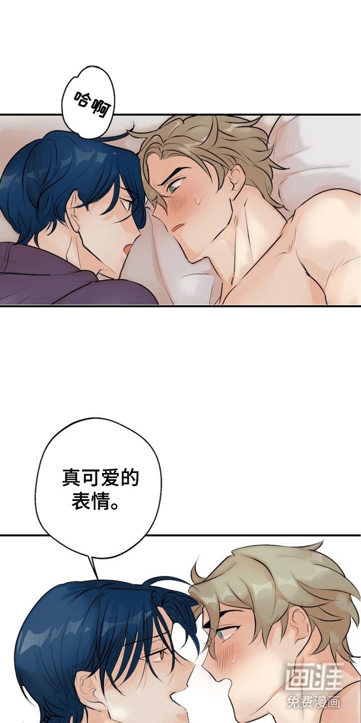 第11章：单纯