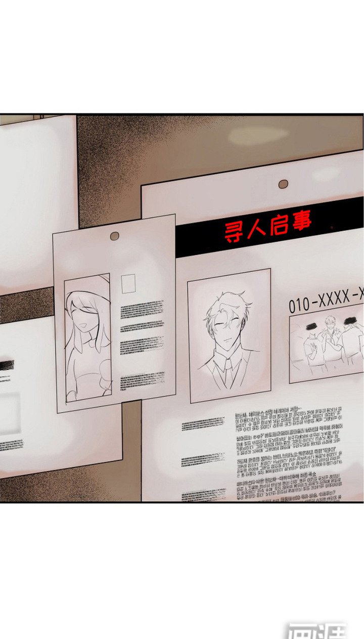 第11章：单纯