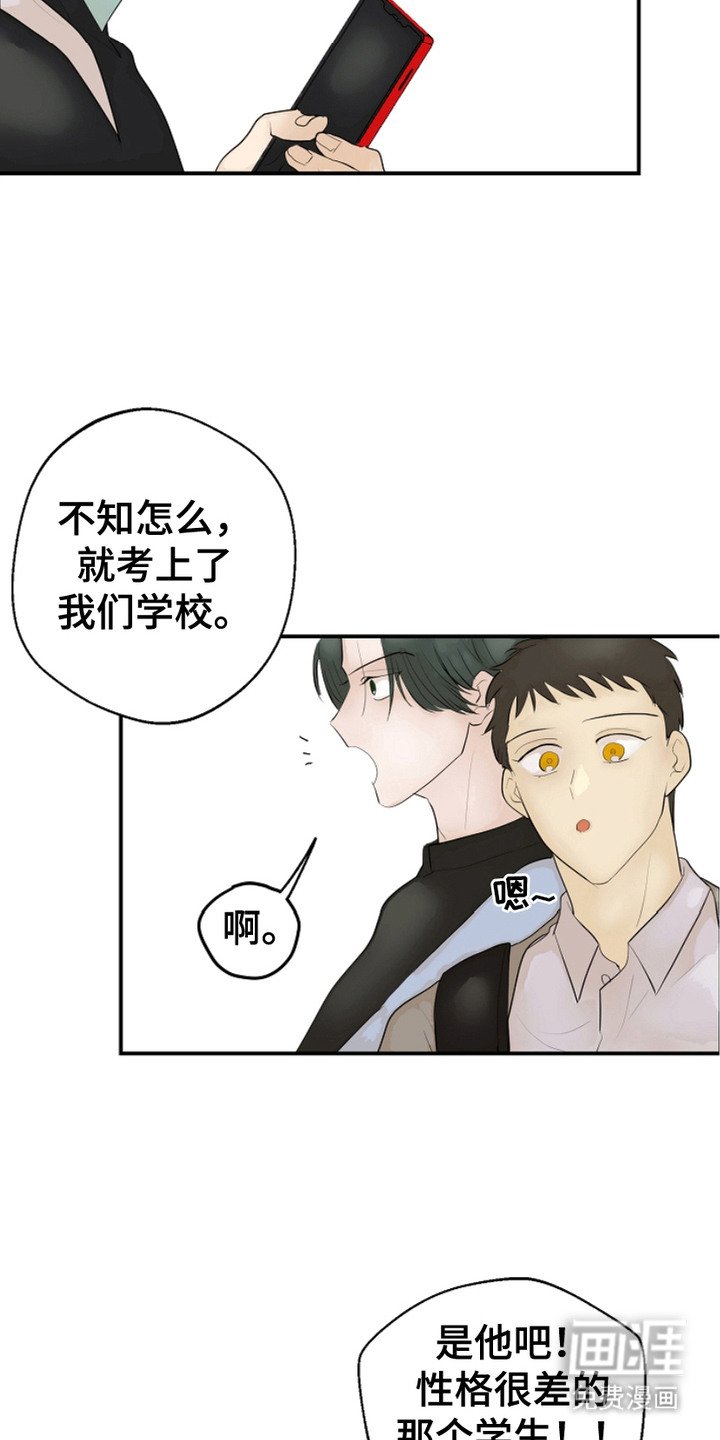 第4章：背后议论