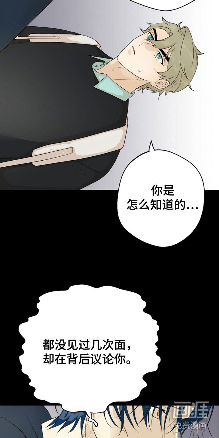 第5章：解决办法