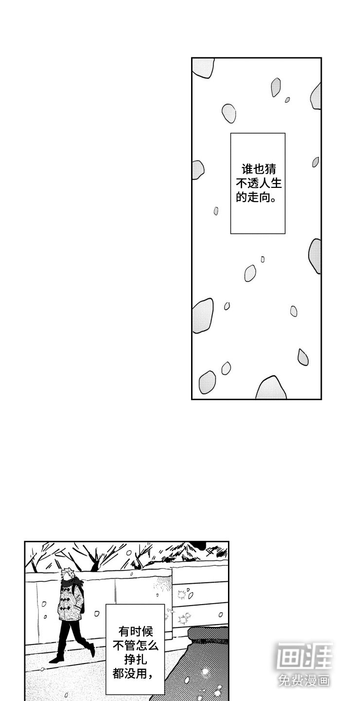 第16章：缘分