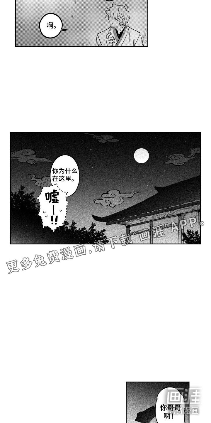 第9章：比较