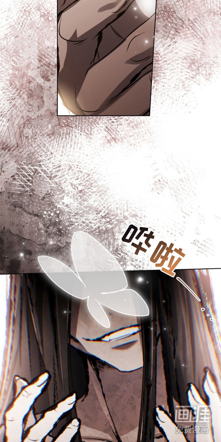第17章：蝴蝶