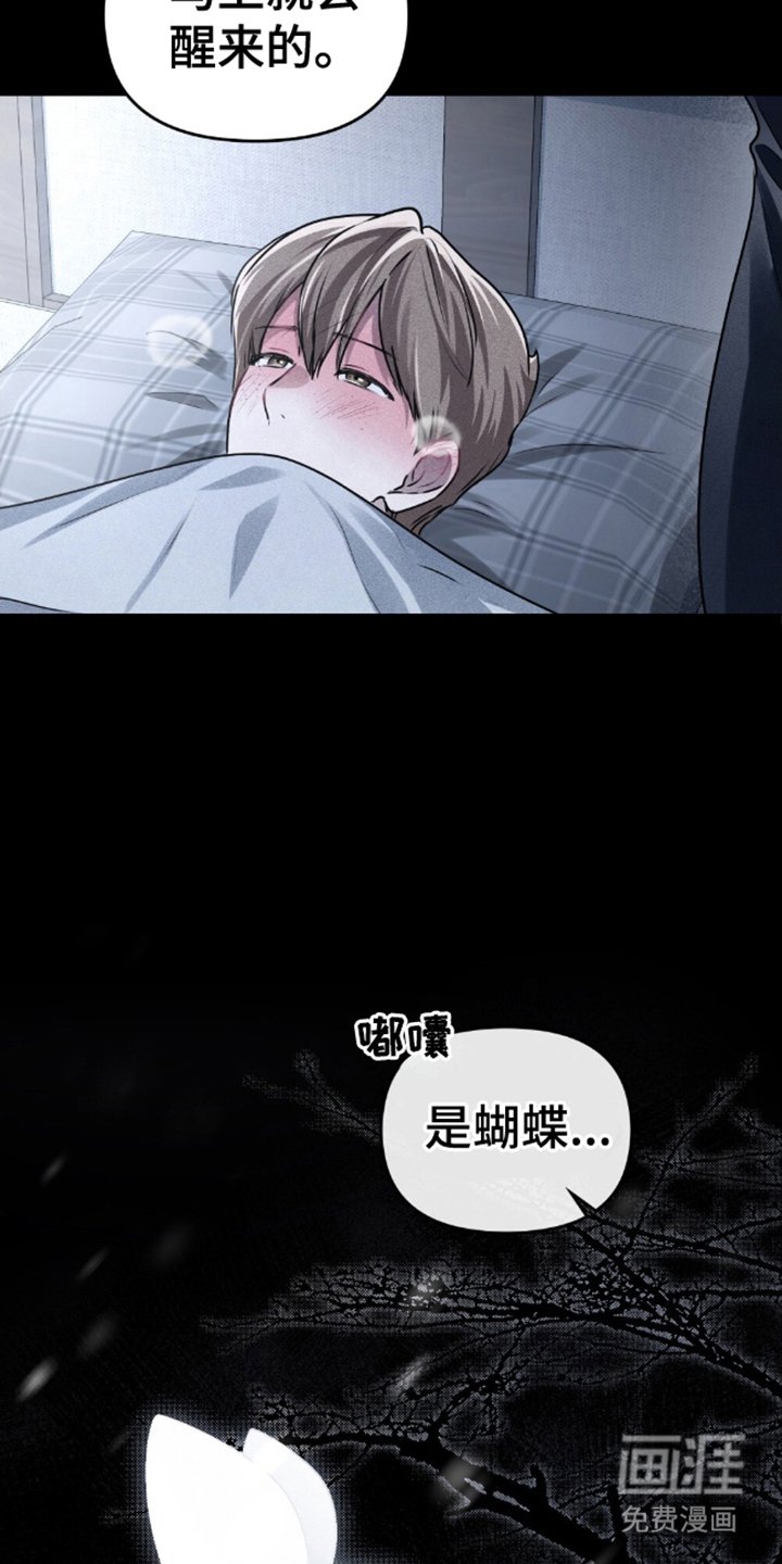 第17章：蝴蝶