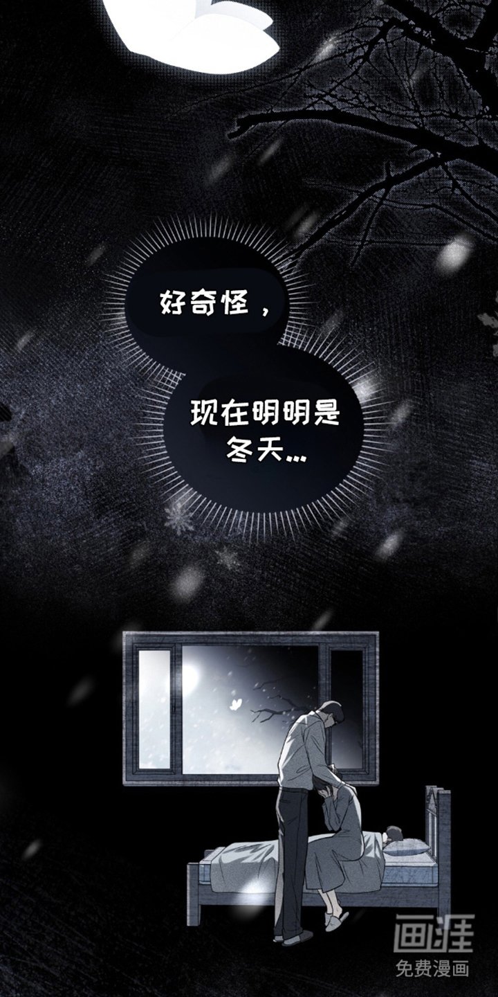 第17章：蝴蝶