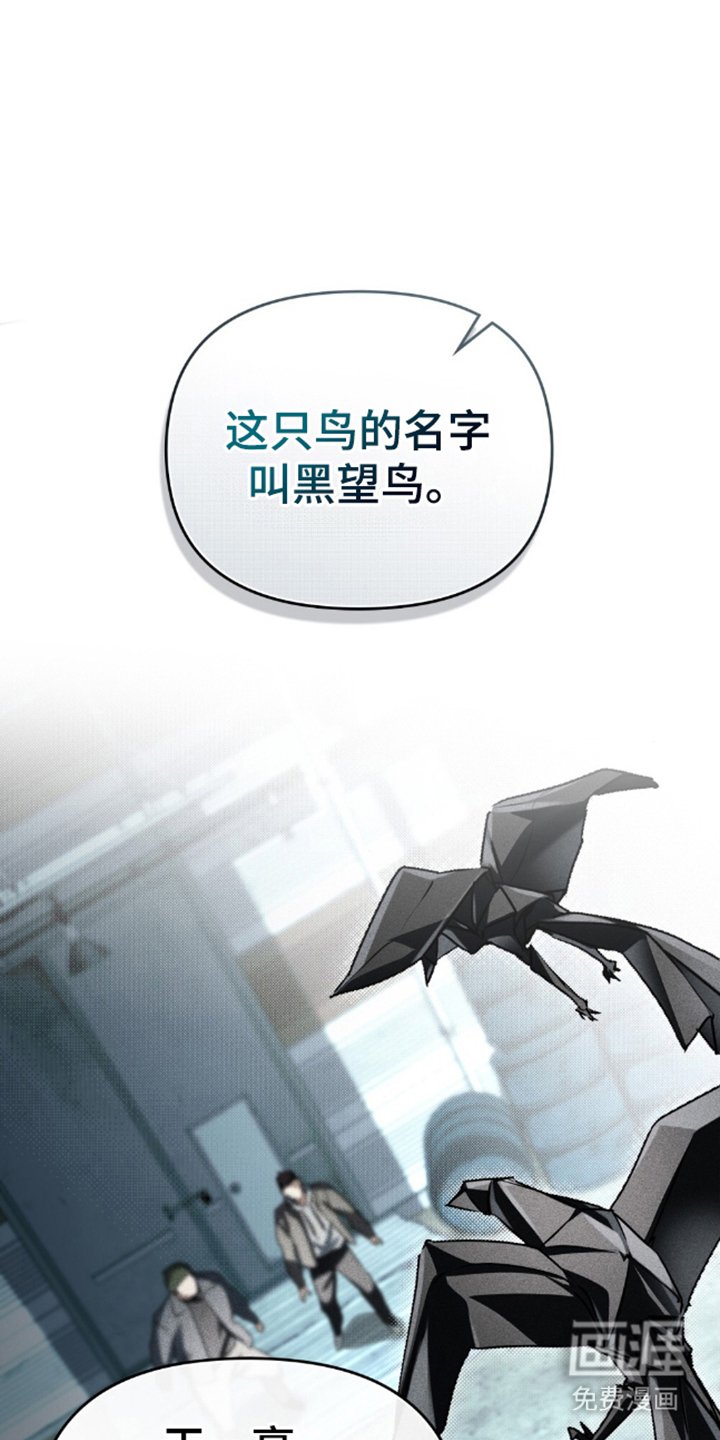 第5章：没收夜晚