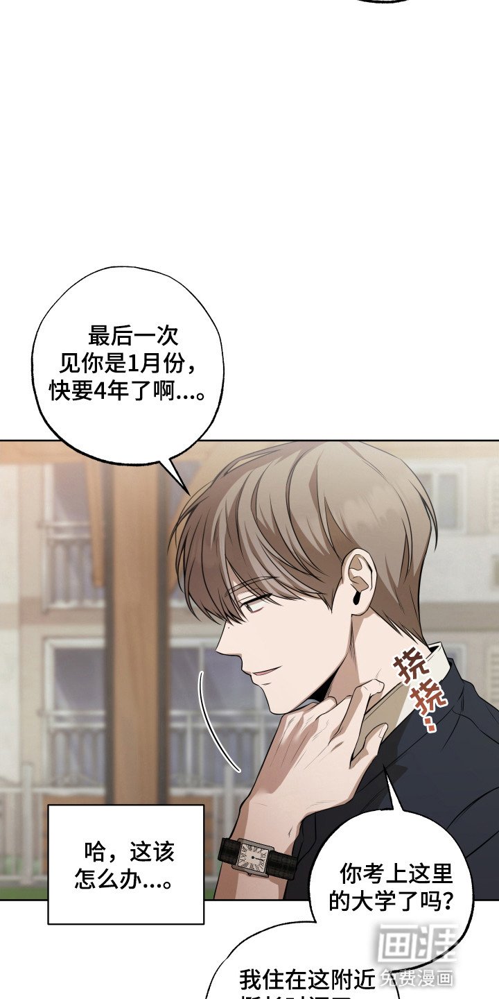第3章：婴儿肥
