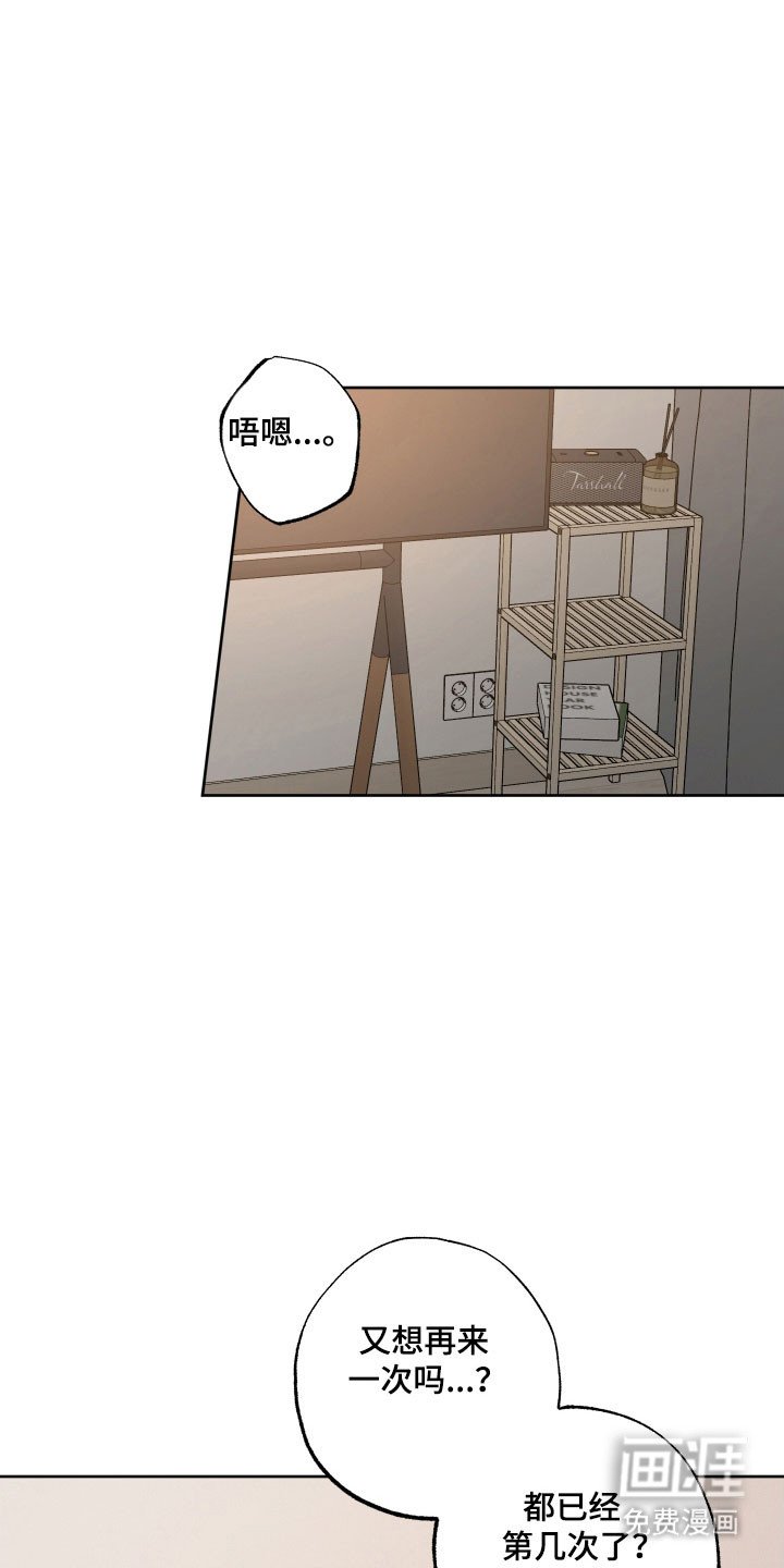 第37章：喜欢老师