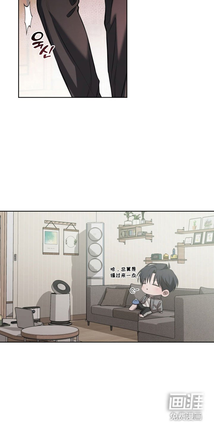 第42章：因为可怜