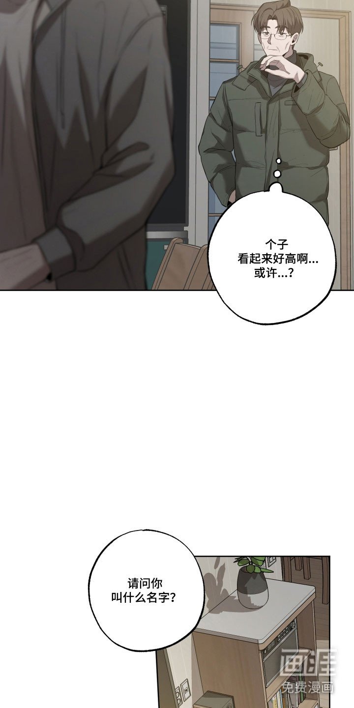 第42章：因为可怜