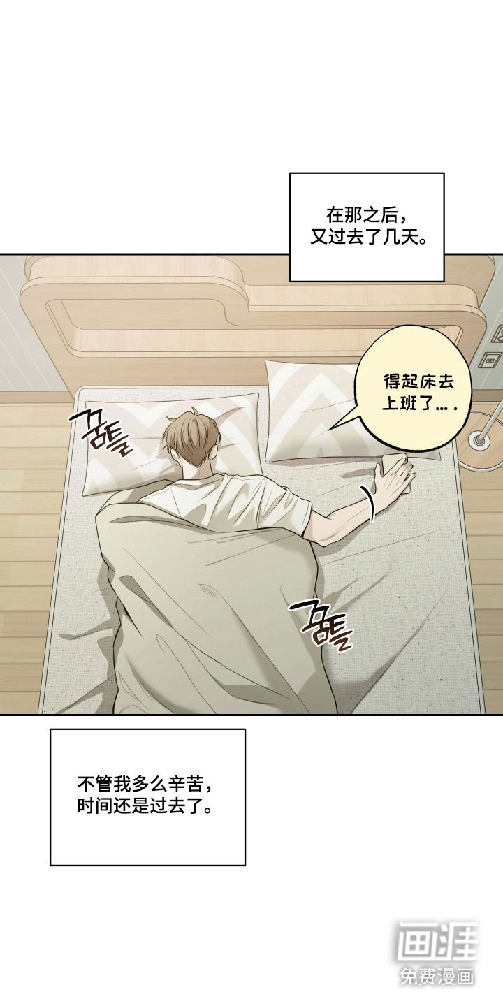 第45章：【第二季】最好提议