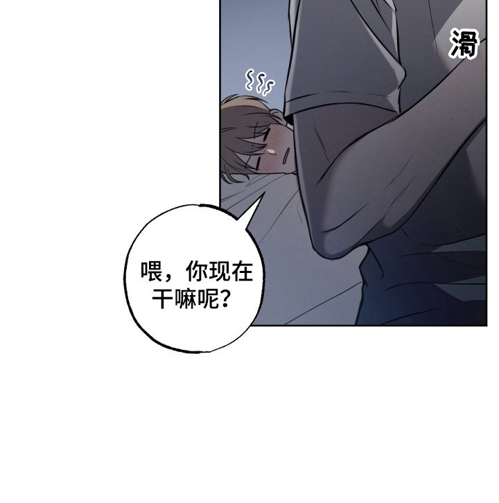 第5章：带回家