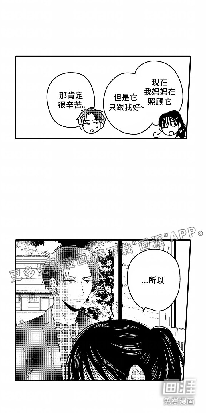 第11章：不会怀疑你